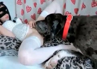 Skinny girlfriend and obedient dog