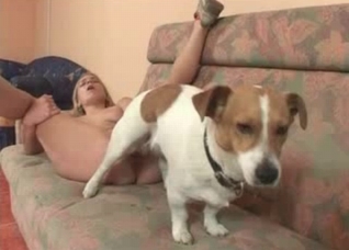 Petite doggy enjoys her snatch