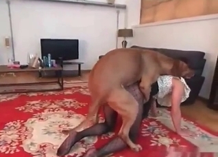 Sweet animal is licking a juicy snatch