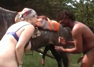 Busty chick and her personal horse