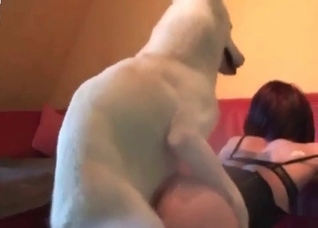 Shiny doggy fucks me hard