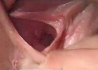 Horse raped my small pink cunt