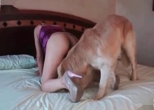 Good cumshot by a trained dog