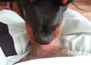 Nasty deepthroat by a doggy