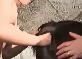 Anal stimulation by a zoo slut
