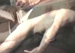 Tight doggy ass for a hard dick